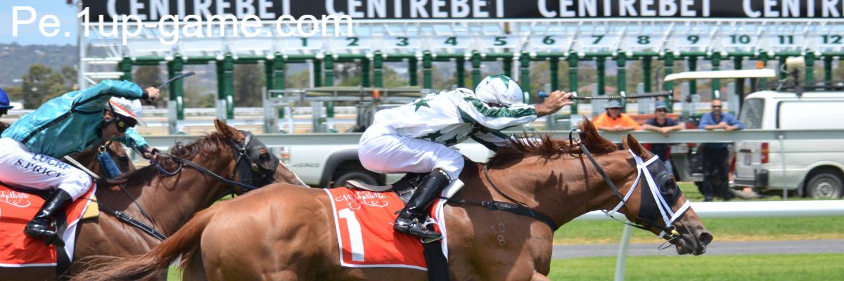 pe.1up-game.com pe.1up-game.com